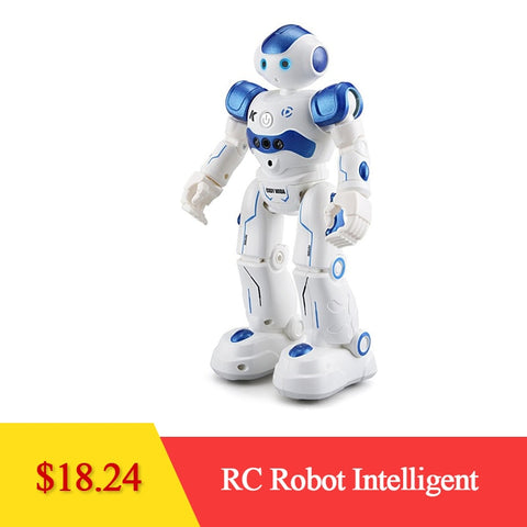 LEORY RC Robot